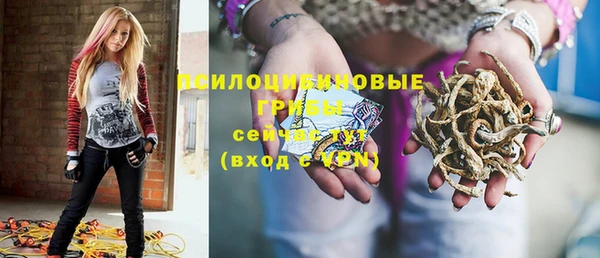 стаф Бронницы
